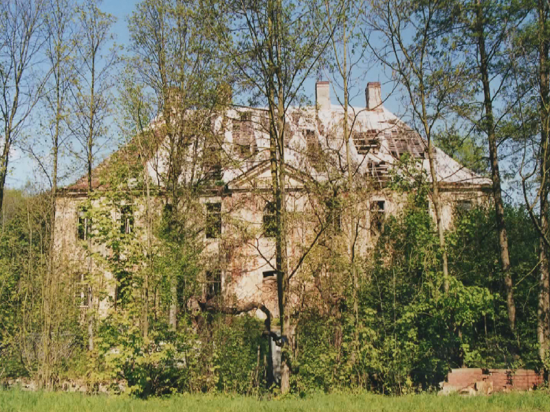 Schlossruine 2004