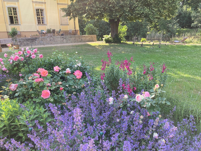 Jahressrückblick 2022: Blütenpracht im Schlossgarten