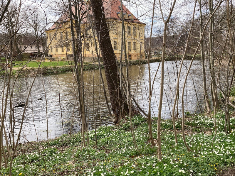 Jahressrückblick 2022: Frühlingsblühen mit Blick aufs Schloss